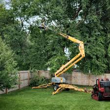 Why Choose Our Tree Removal Services in Bellefonte, DE?